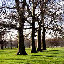 Reisebericht London Hyde Park